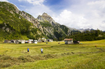 Pascoli Alpini