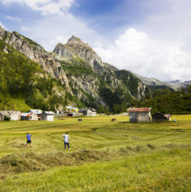 Pascoli Alpini